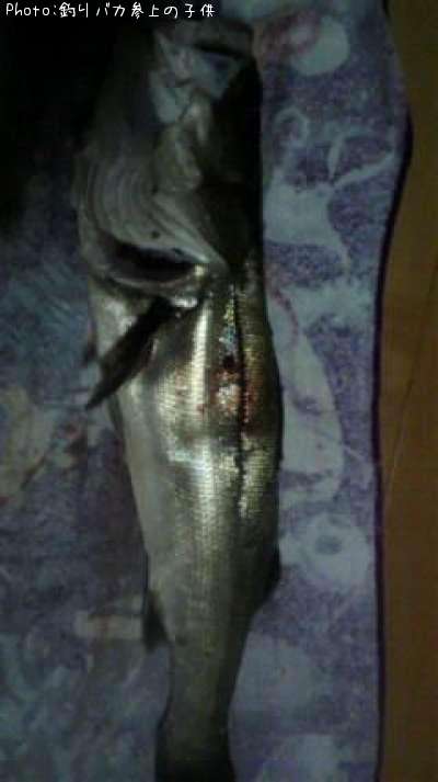 �����Х�