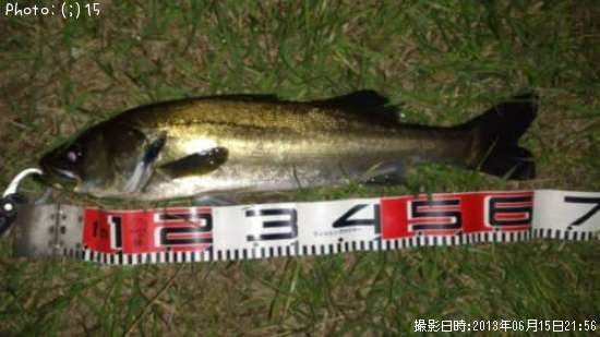 �����Ф�