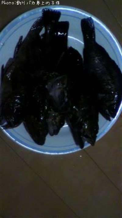 �����顢��Х�