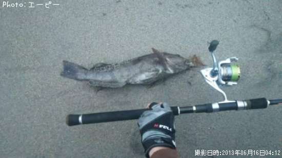 �����ʥ�