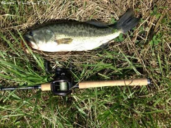 �֥�å��Х�