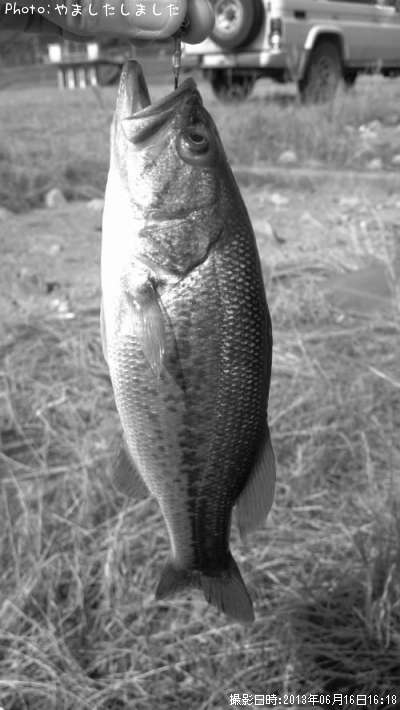 �֥�å��Х�