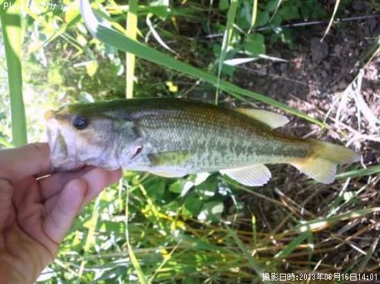 �֥�å��Х�