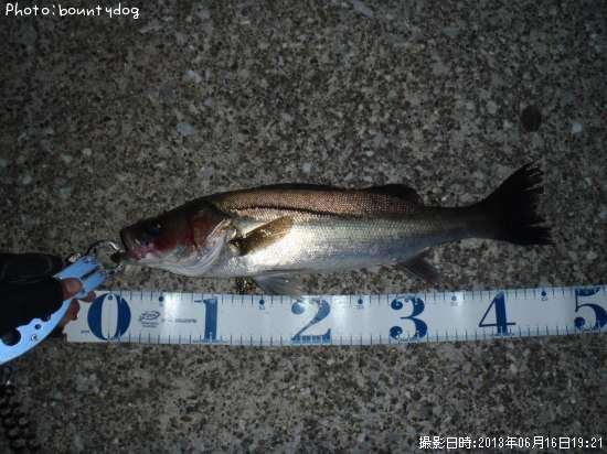 �����Х�