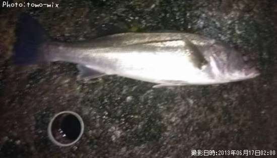 �����Х�