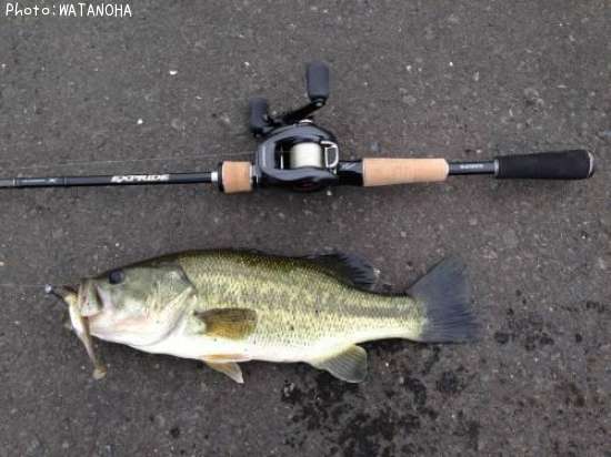 �֥�å��Х�