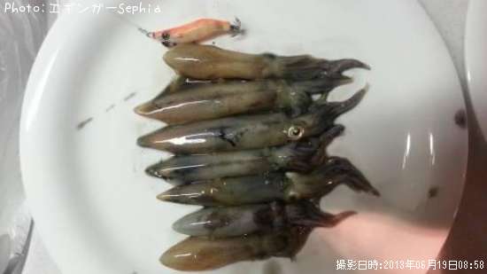 �ҥ�������ꥤ��