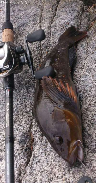 �����ʥ�