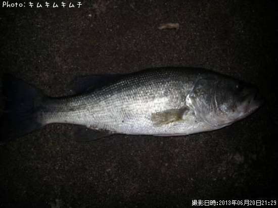 �֥�å��Х�