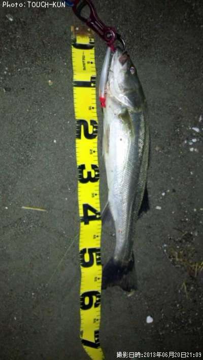 �����Х�