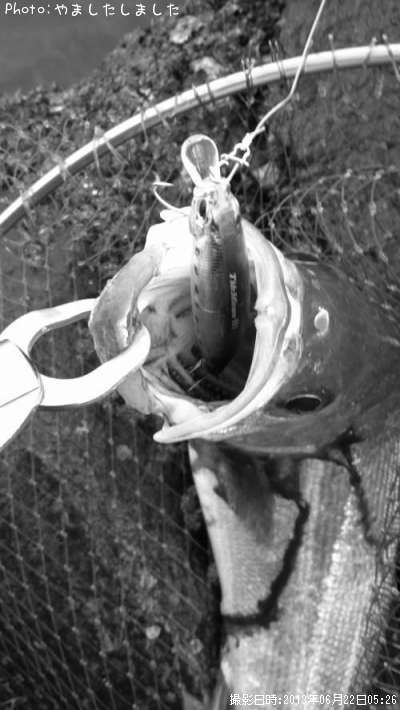 �����Х�