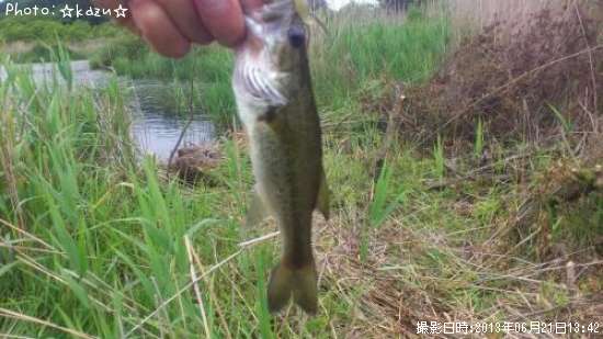 �֥�å��Х�