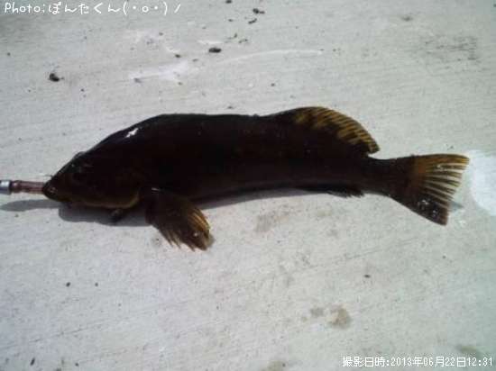 �����ʥ�