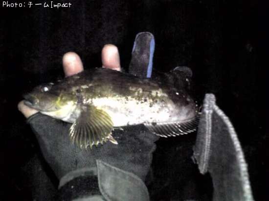 �����ʥ�