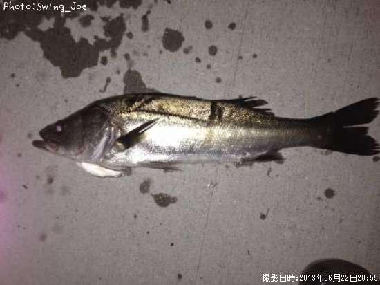 �����Х�