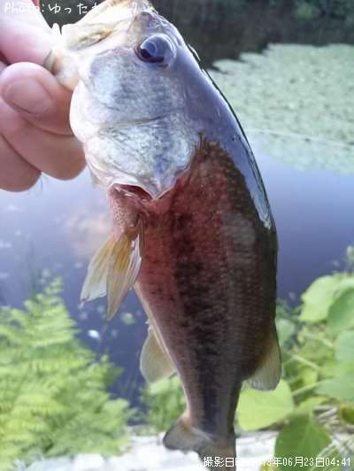 �֥�å��Х�