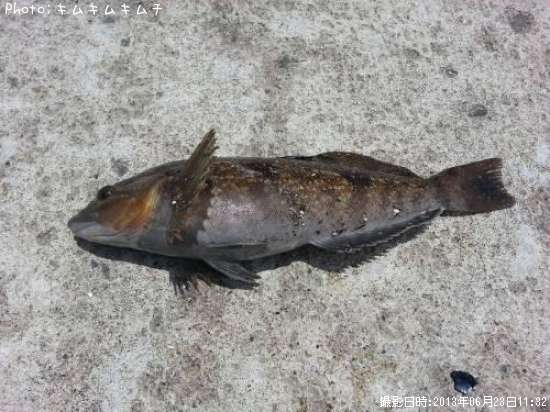 �����ʥ�