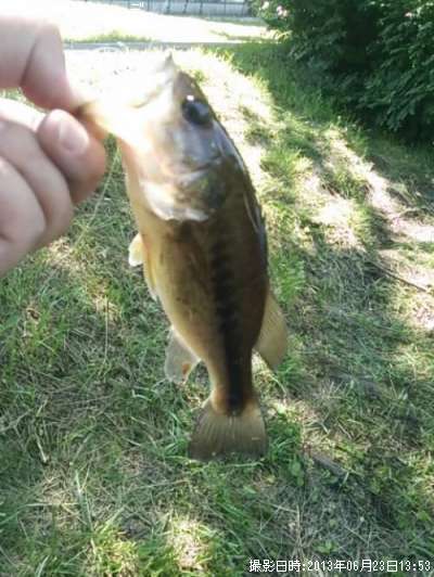 �֥�å��Х�