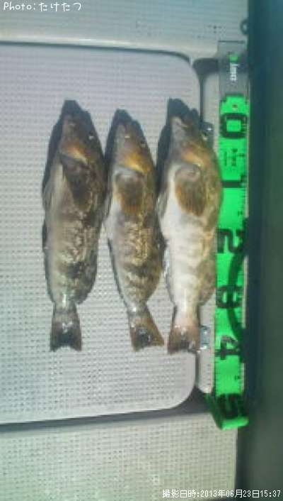 �����ʥ�