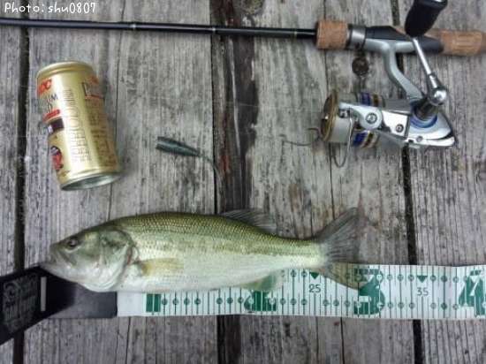 �֥�å��Х�