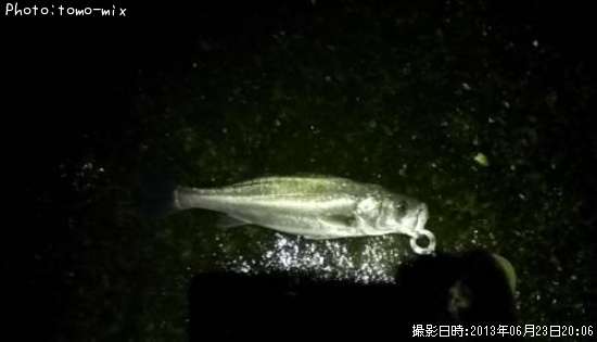 �����Х�