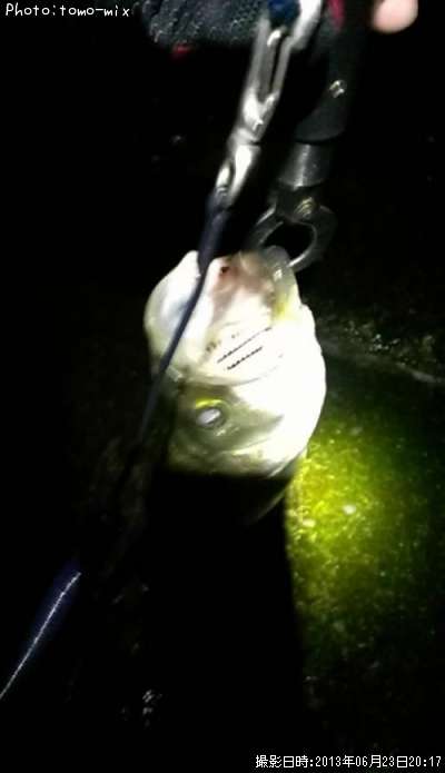 �����Х�