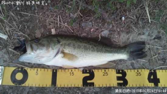 �֥�å��Х�