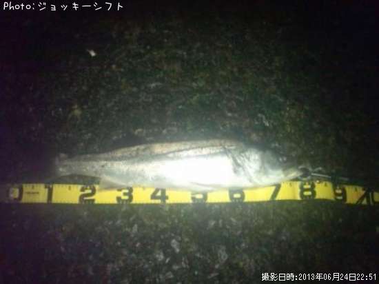 �����Х�