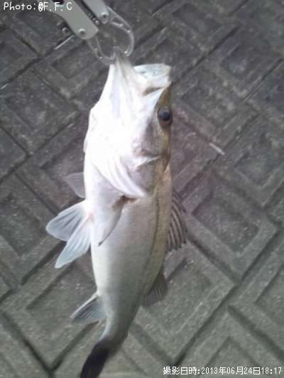 �����Х�