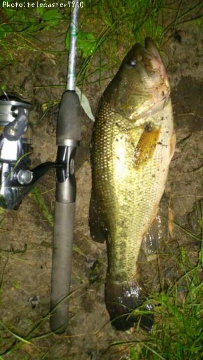 �֥�å��Х�