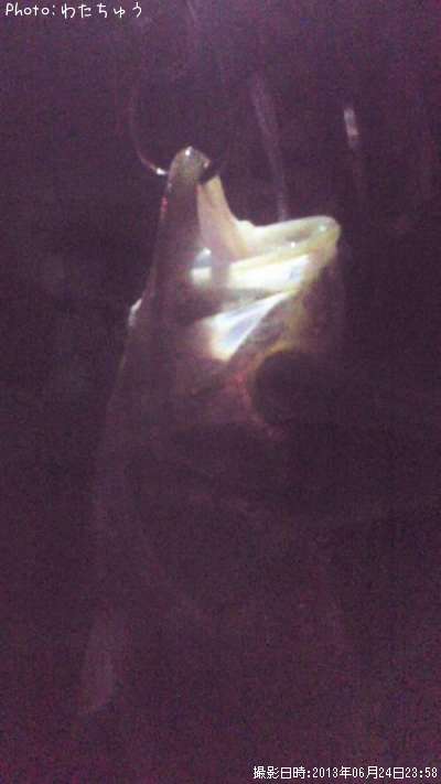 �����Х�