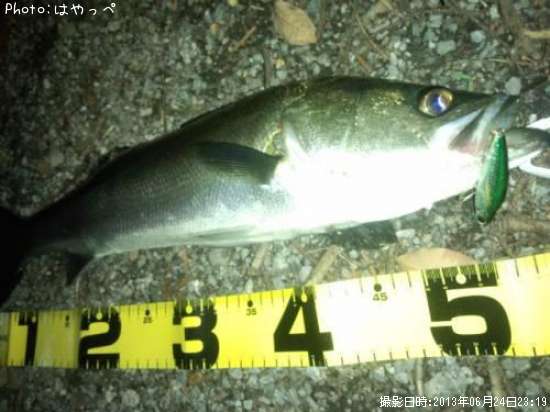 �����Х�