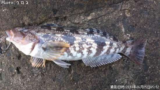 �����ʥ�