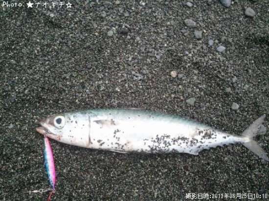 �С�����