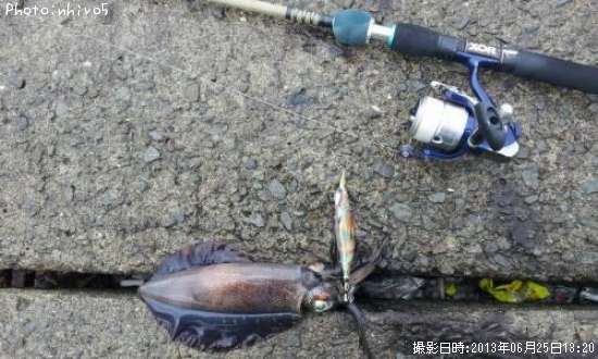 �����ꥤ��