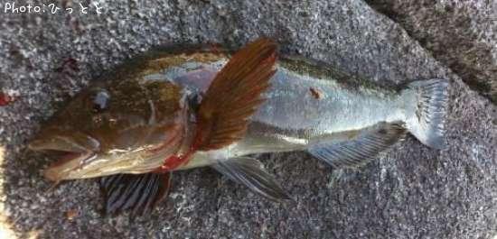 �����ʥ�