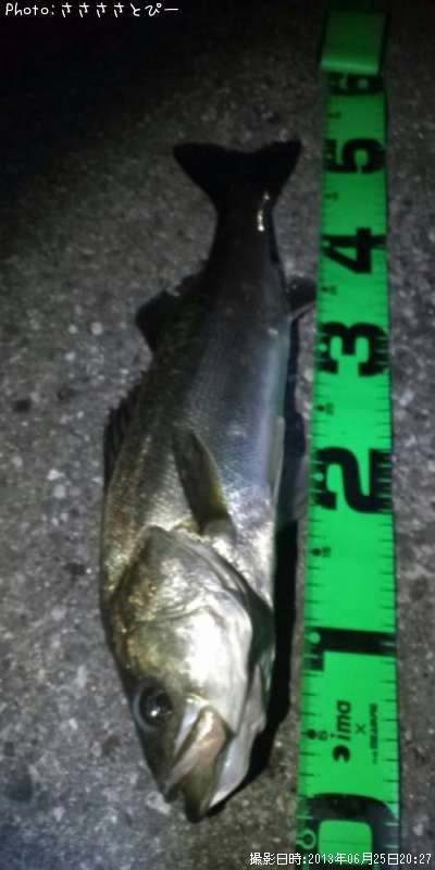 �����Х����٥���