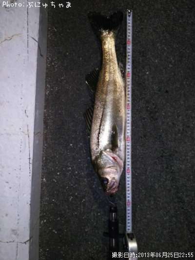 �����Х�