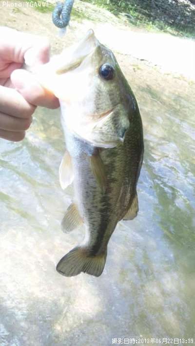 �֥�å��Х�