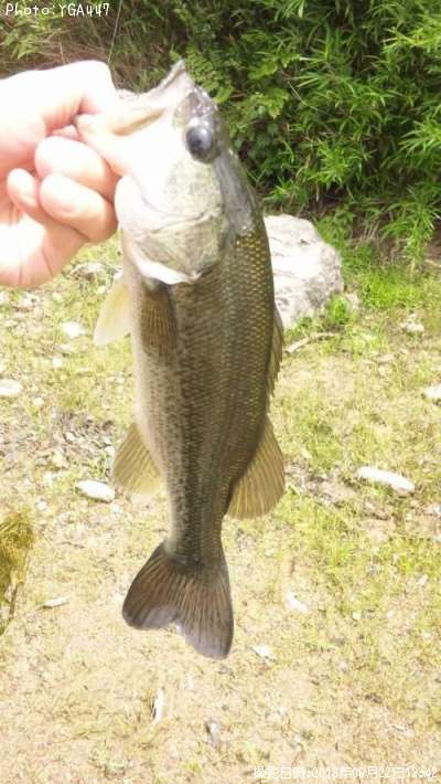 �֥�å��Х�