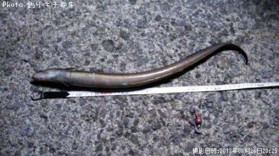 �ϥ�ʥޥ��ʥ���