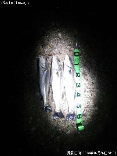 �����Х�