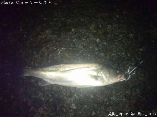 �����Х�