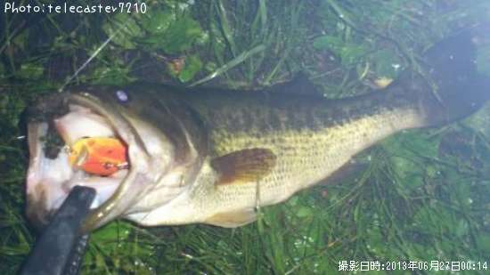 �֥�å��Х�