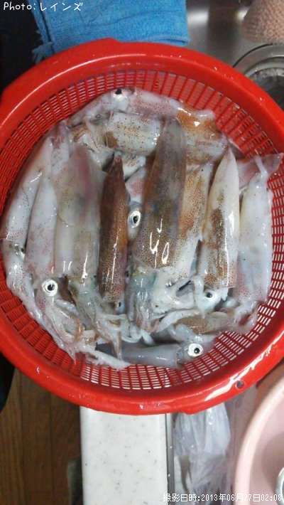 ��ꥤ�����ҥ���