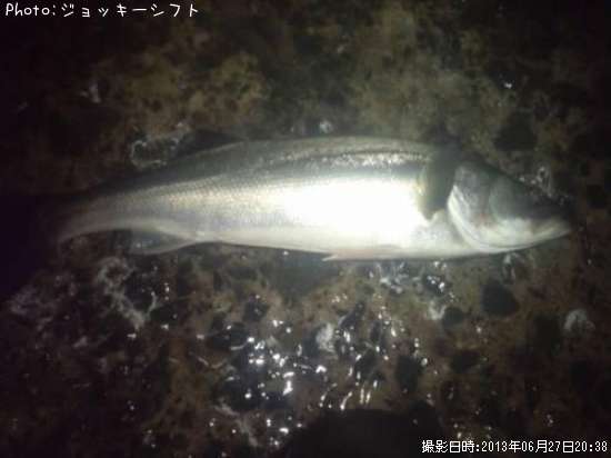 �����Х�