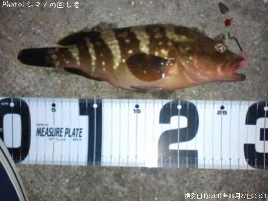 �����ϥ�