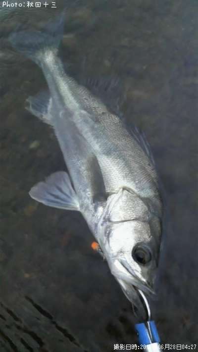 �����Х�