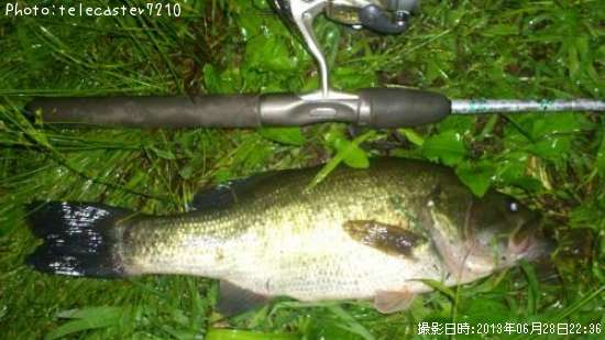 �֥�å��Х�