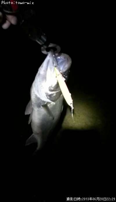 �����Х�